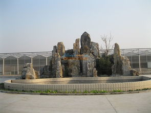 假山專業(yè)報(bào)價(jià)