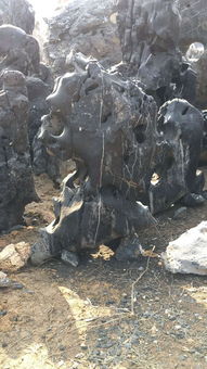 太湖石假山,太湖石假山生產(chǎn)廠家,太湖石假山價(jià)格