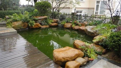 魚池假山設(shè)計圖,庭院魚池假山設(shè)計,廣通園林