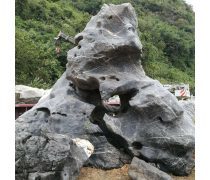 太湖石(假山)產品庫——價格、圖片與廠家信息一覽